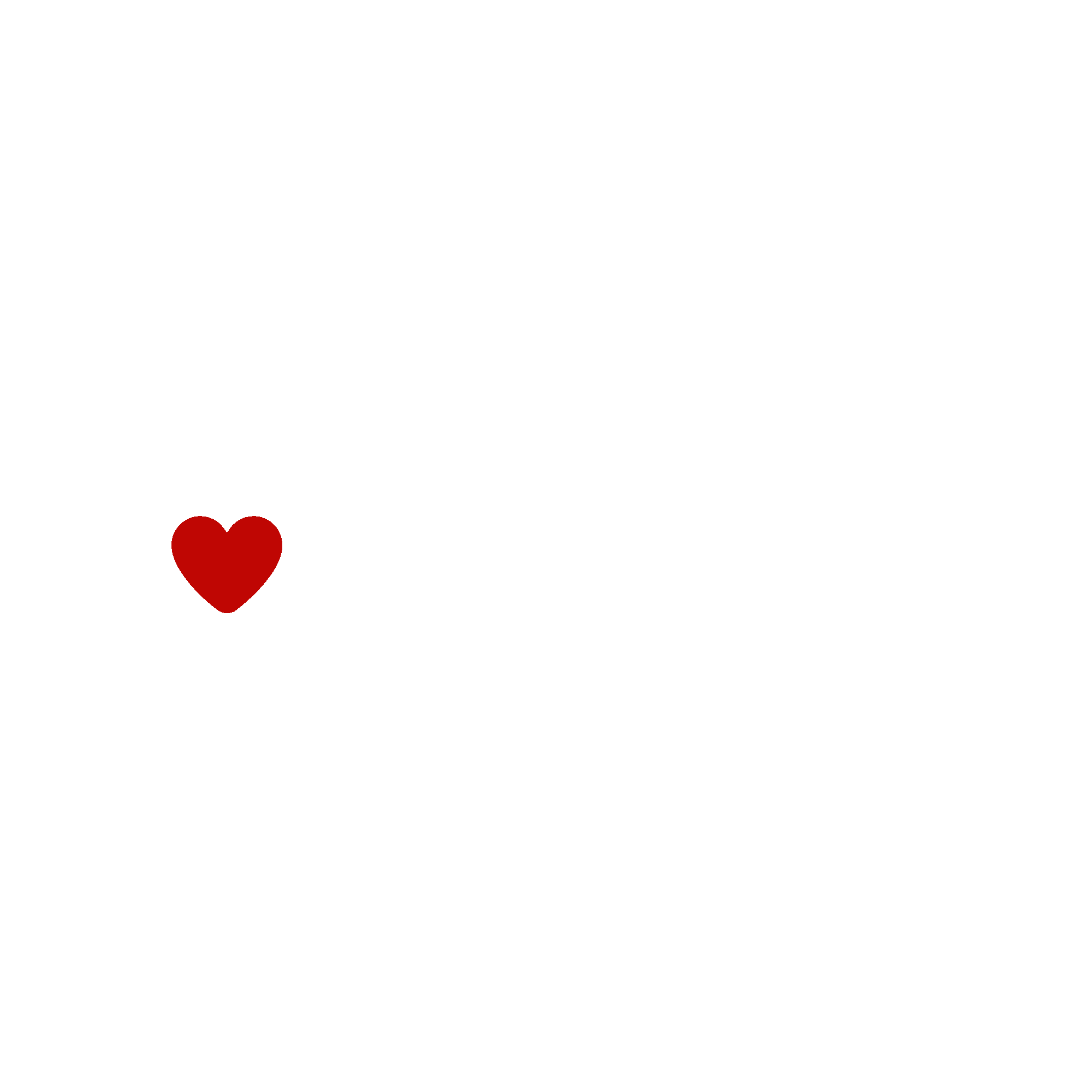 LuvUrRide Detailing logo